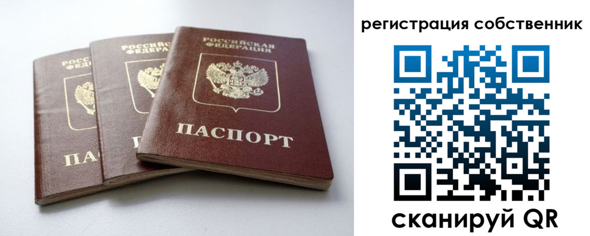прописка для школы в Новокуйбышевске